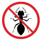 No Fireants