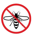 No Wasps