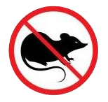 No Rats
