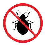 Bug Removal - Pest Control