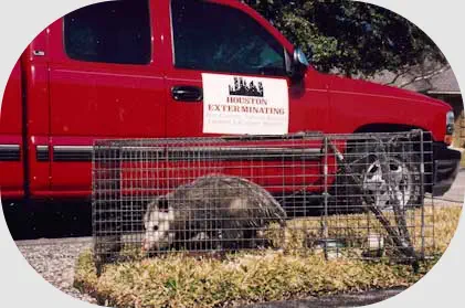 Houston Pest Control